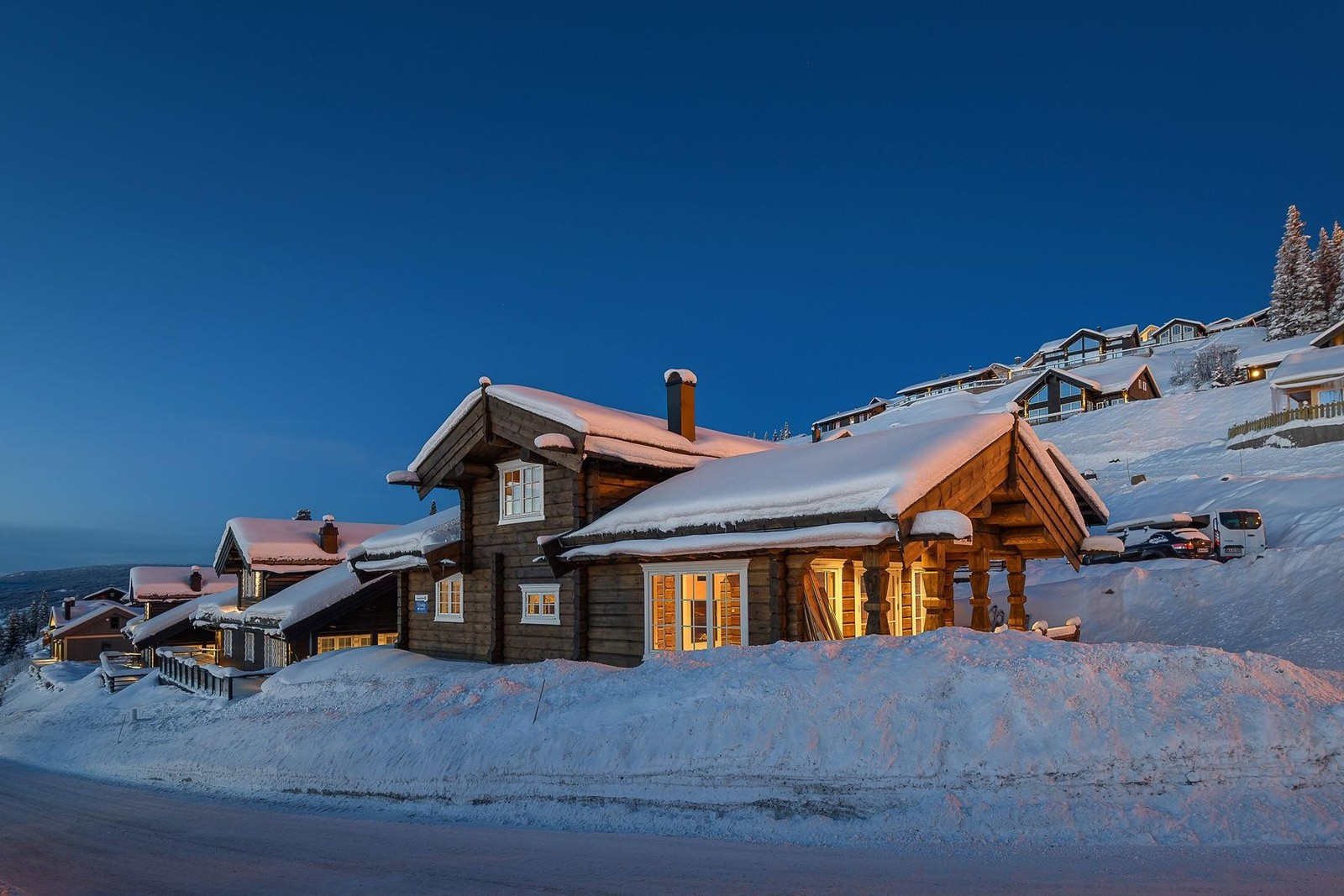 Houses in snowy landscape