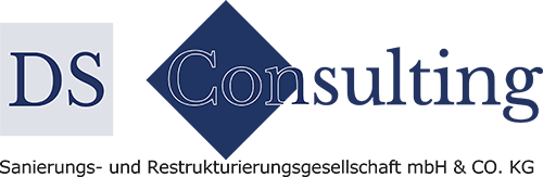 DS Consulting Logo