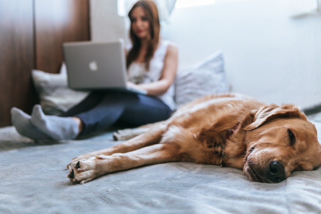 Home Office soziale Kontakte von zuhause aus arbeiten