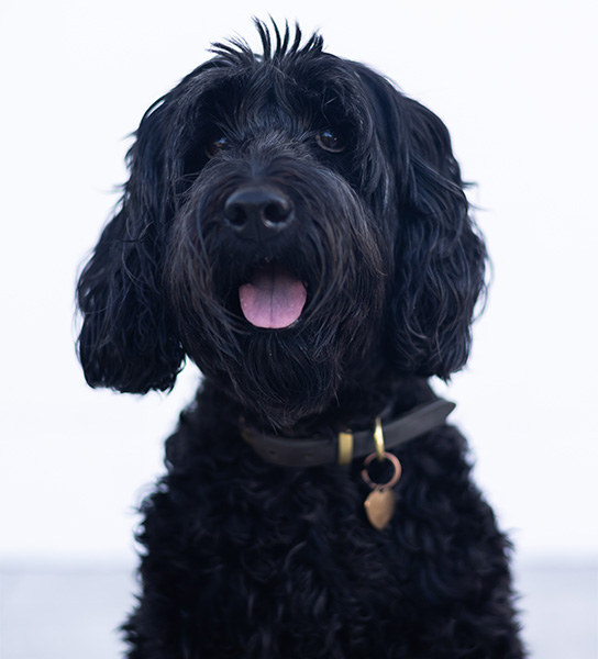 Nala