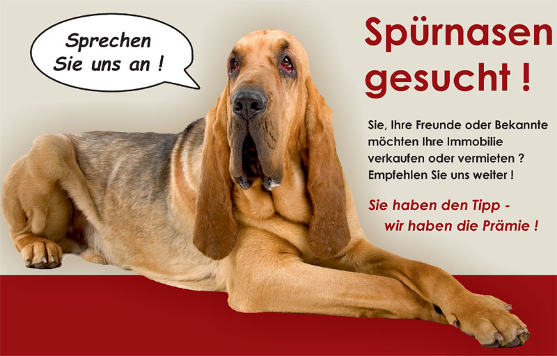 Tippgeber-Programm Flyer