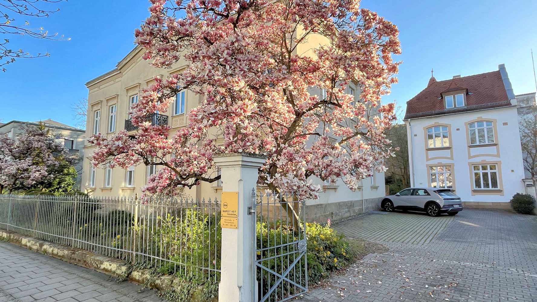 Immobilie verkaufen Bamberg Haingebiet Frühling Magnolien